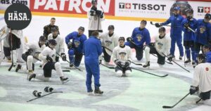 Leijonien hierontahuoneessa parannetaan niin kehoa kuin mieltä