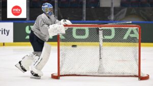 Leijonien Maalivahtipäätös Herätti Keskustelua